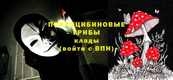 ПСИЛОЦИБИНОВЫЕ ГРИБЫ Абинск