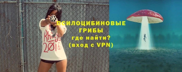 МДПВ Абаза