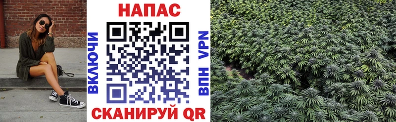 кракен ссылки  нарко площадка как зайти  Канабис SATIVA & INDICA  Ессентукская 